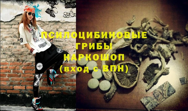 МДПВ Аркадак