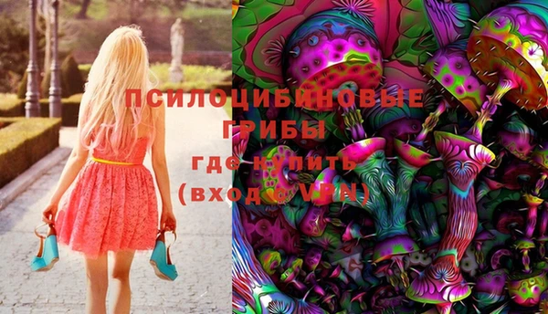МДПВ Аркадак