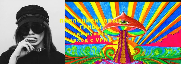 МДПВ Аркадак